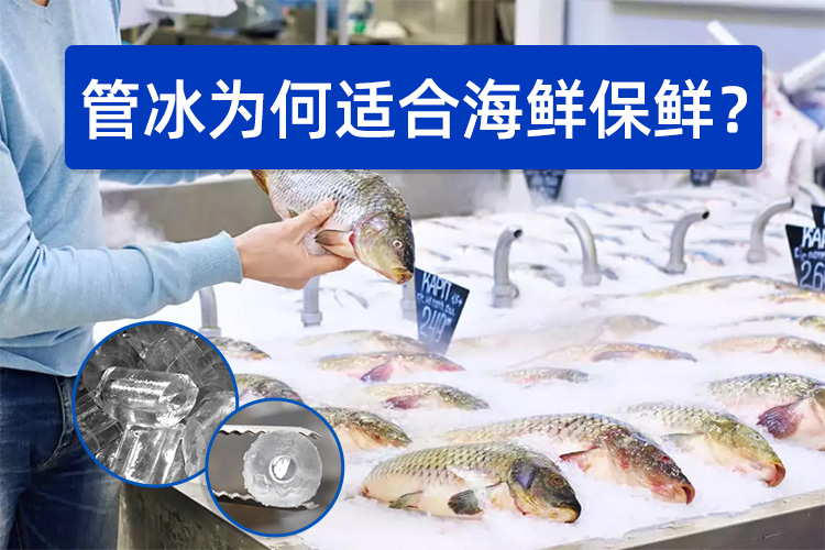 管冰為何如此適合海鮮保鮮？
