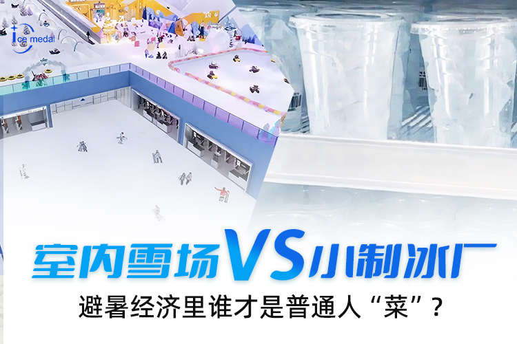 室內(nèi)雪場VS小制冰廠，避暑經(jīng)濟(jì)里誰才是普通人“菜”？